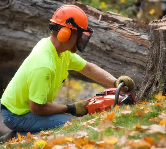 tree services Kennett